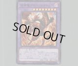 未開封】紅涙の魔ラクリモーサ/スリーブ20枚 販売ページ｜遊戯王カード