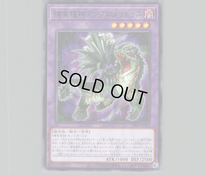 画像1: 捕食植物アンブロメリドゥス/レア【融合】《DIFO-JP037》 (1)