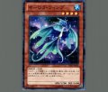オーロラウィング