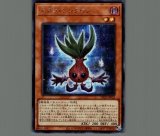 遊戯王 - (アジア版) オネスト プリズマティックシークレットレア　LIOV-JPS01 ☆アジア☆オネスト【プリズマティックシークレット】{アジア