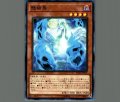 魅幽鳥