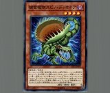 遊戯王　捕食植物ヴェルテ・アナコンダ　シークレット　PSA10 捕食植物ヴェルテアナコンダ/シークレット【リンク】《LVP3-JP071