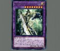 竜破壊の剣士バスターブレイダー