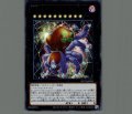 No.35 ラベノスタランチュラ