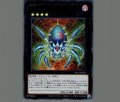 No.70 デッドリーシン