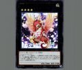 No.82 ハートランドラコ