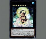 E・HERO バーストレディ(イラスト違い)/25thシークレット