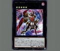CNo.80 葬装覇王レクイエムインバーサーク