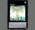 No.39 希望皇ホープダブル