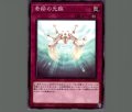 奇跡の光臨