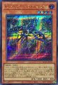 RRトリビュートレイニアス
