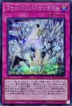 フェイバリットコンタクト