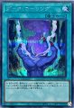 ダークコーリング