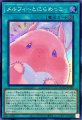 メルフィーとにらめっこ