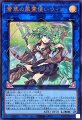 蒼翠の風霊使いウィン