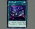 迷い花の森