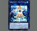 海晶乙女コーラルアネモネ