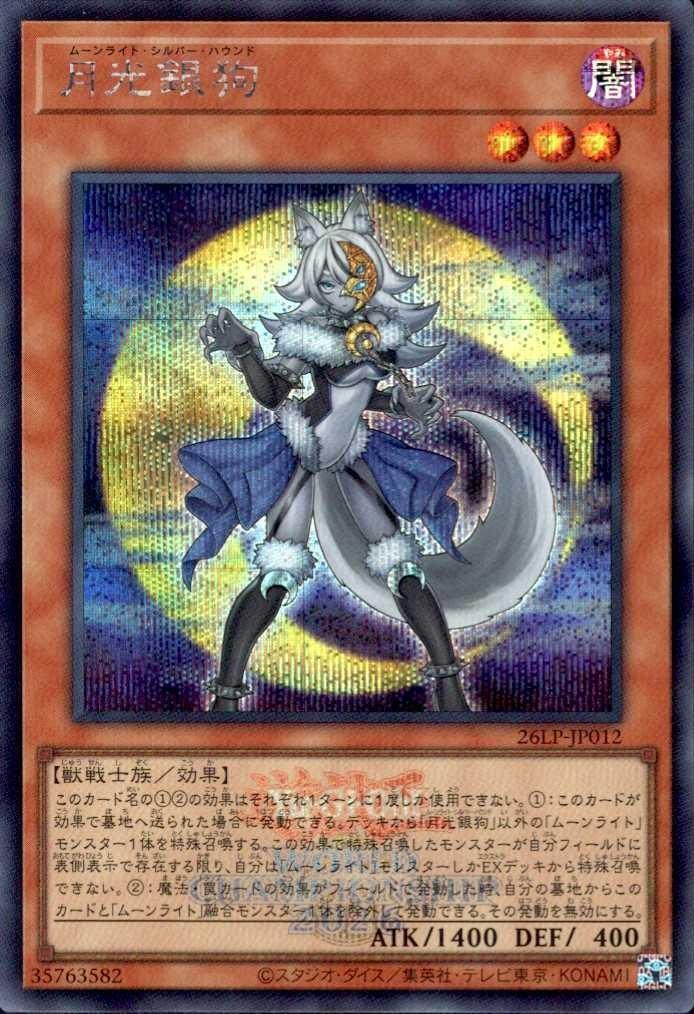 遊戯王 LIMITED PACK WORLD CHAMPIONSHIP 2026 | 秋葉原TCGショップ