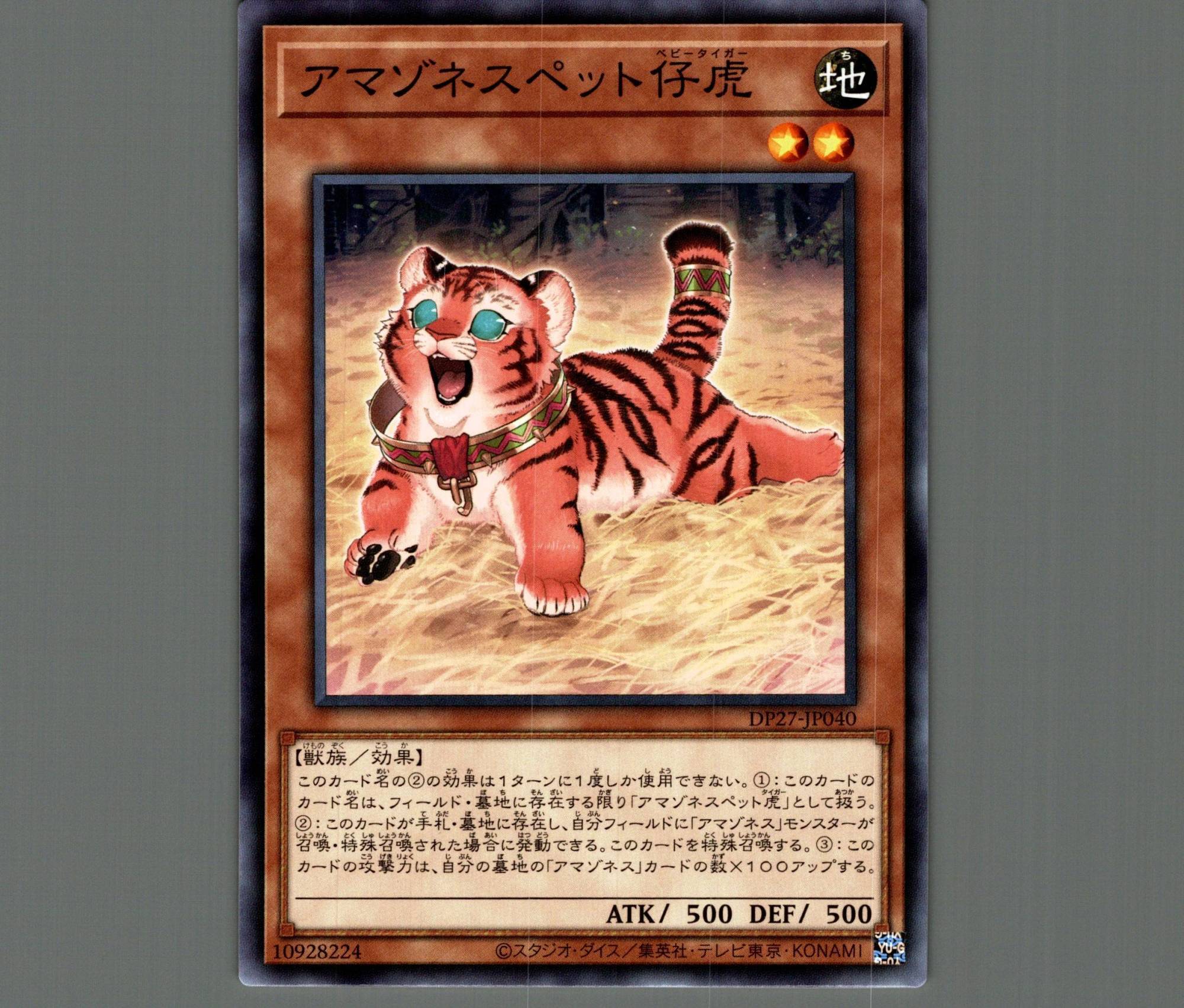 遊戯王 アマゾネス デッキ】アマゾネスペット仔虎 アマゾネス霊