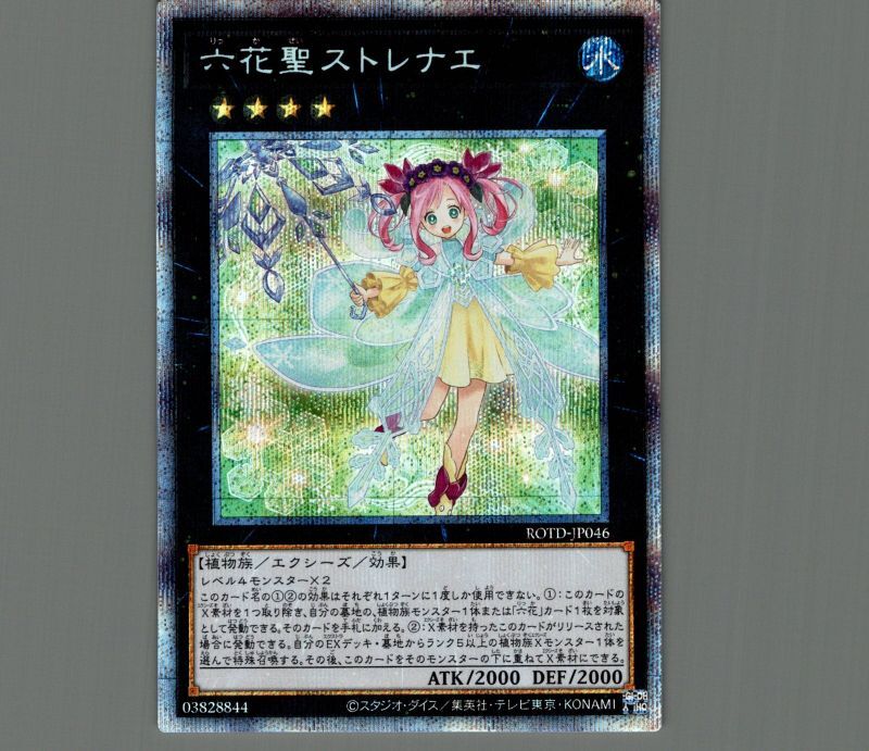 違います遊戯王 手札誘発娘(絵違い)プリズマティックシークレットPSA10,6枚セット