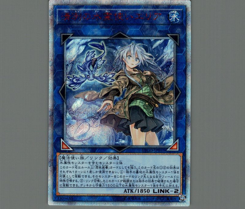 遊戯王遊戯王　清冽の水霊使いエリア　20th